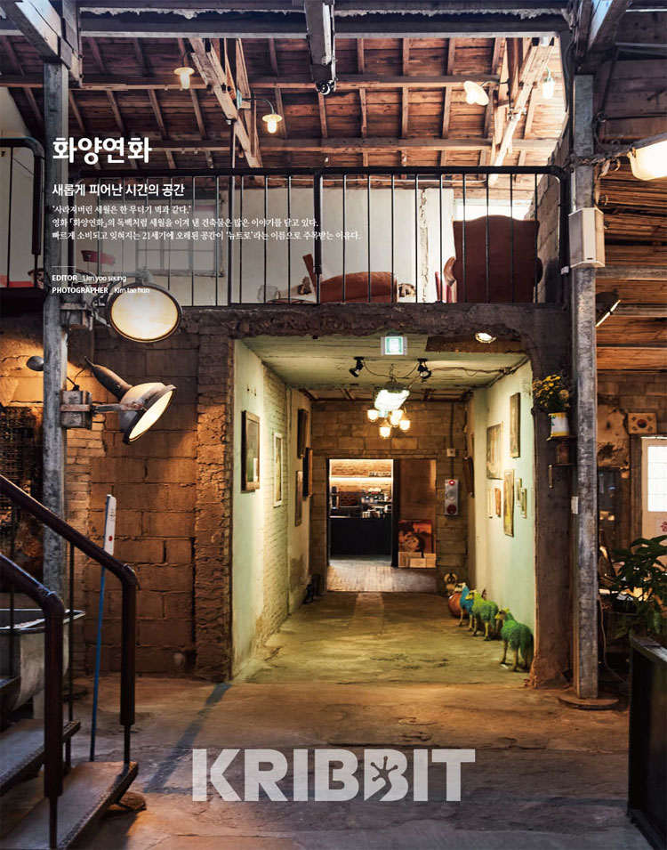 KRIBBIT 韓国雑誌